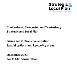 Regulation 18 Issues and Options Consultation: Spatial options and key policy areas thumbnail icon